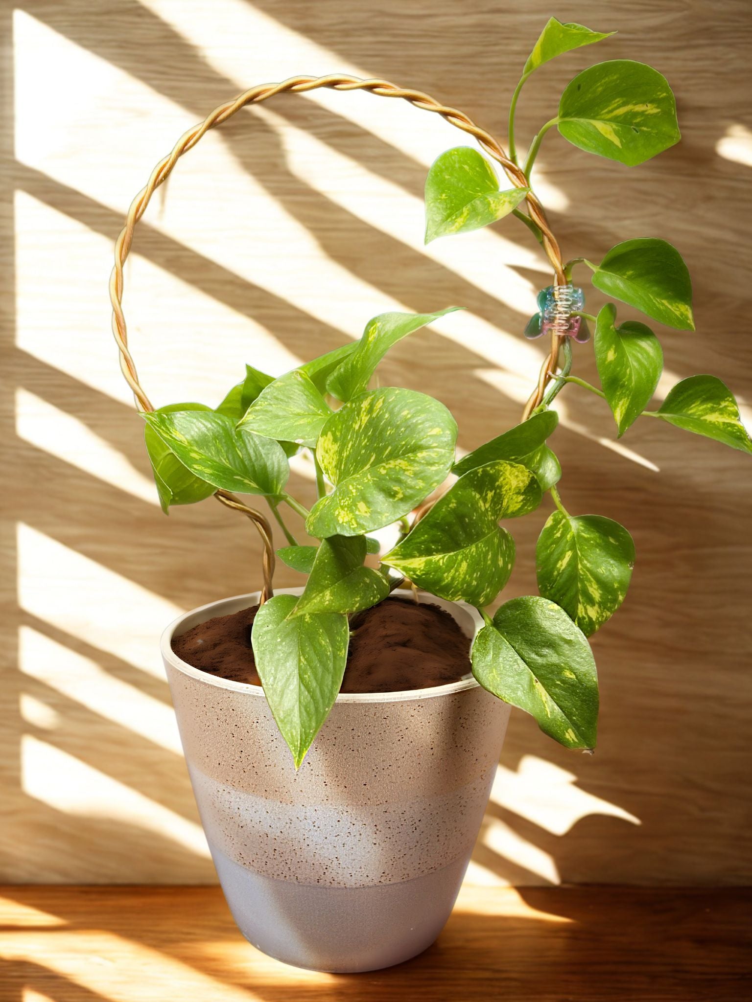 copper trellis for plants Handmade 10” Round Copper Trellis