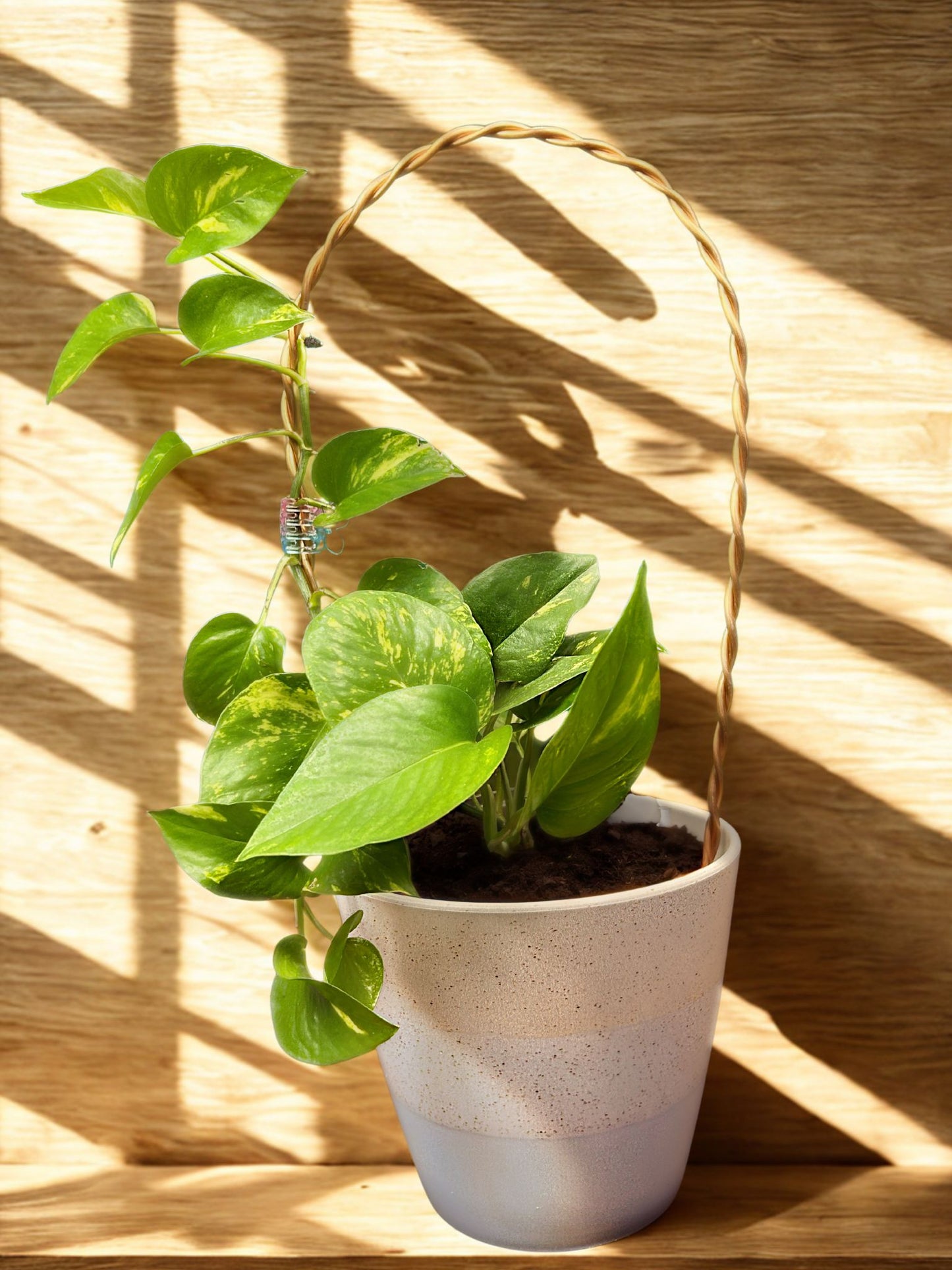 Handmade Arch Copper Trellis
